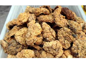 ���Ƹ�Ӳ����ƫ��