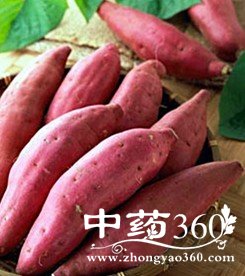 ��ʲô��������,��Щʳ���ܹ�����һ������