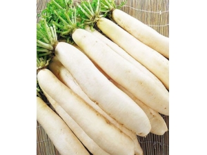 ��ʲô�������� ���ݻ����ļ���Ӫ���߲�