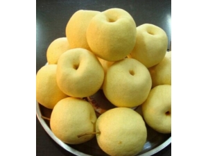 ֹ�ȵķ��� ѩ�������ֹ���ط�