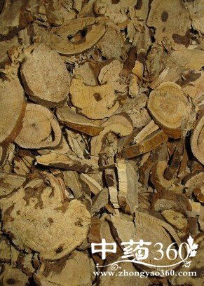 ݡ������ô����,ݡ����ƫ���ߴ��ӿ�ξ�