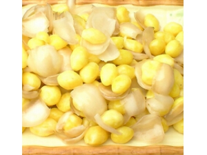 �������ʷ��� �＾����10��ʳ����������