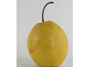 ������ô�� ��ˮ�������ƿ�������