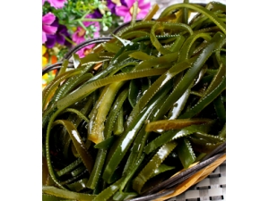 ���׿�˥�� ��˥�ϵ����ݻ�������