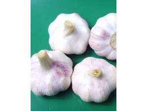 ��ǻ��������Ʒ��� �������������ƫ��