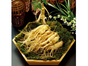 ʮ˷ʮη ҩ֮ʮ˷ʮη