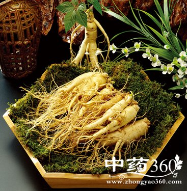 十八反十九畏,用药禁忌之十八反十九畏