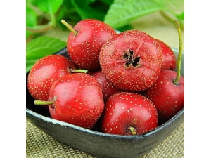 ��ʲô�������� ���ѳԡ�ʳ����̵�