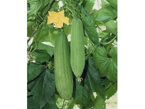 ��������̴� �����̴����������ƫ��