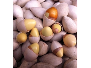 ����ҩ���ܳ�ʲô ��ҩ����ʳ�õ�����ʳ��