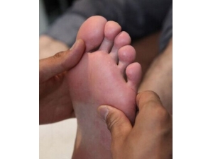 ���Գ�ʲô�õĿ� ���������ο���