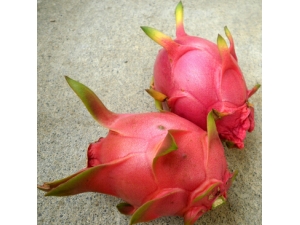 �����������Ե��� ��Ի������к���