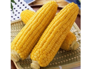 ��ʲô��Ѫѹ ��������������ס���Ѫѹ