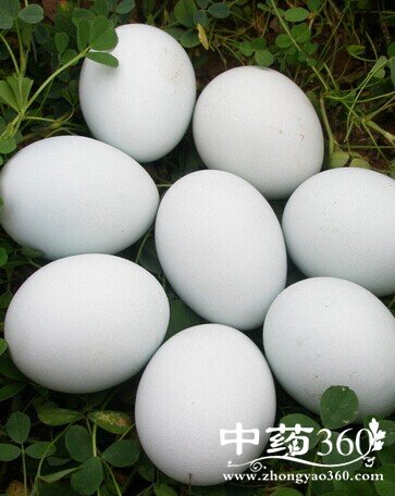 ð˳ʲôõĿ,ðʹʳƷ