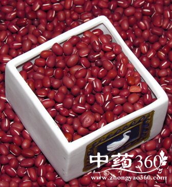 ��ʲô����,10��ʳ��Ů�ԳԳ����׼���