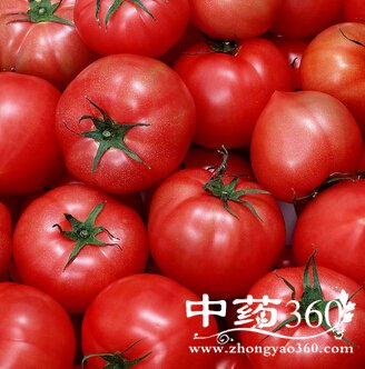 ��ʲô����,10��ʳ��Ů�ԳԳ����׼���