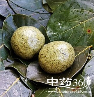 艾草的作用,艾草有哪些吃法?