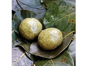 ���ݵ����� ��������Щ�Է���