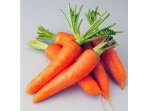 �ΰ����ߵ���ʳ �ΰ�����ʳ��������Щ���ɣ�