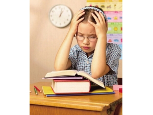 Ԥ������ ѧ����α����Լ���������