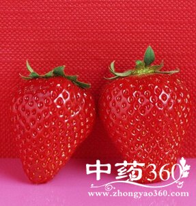 ʲô,̵5“ݮ”ˮĹЧ