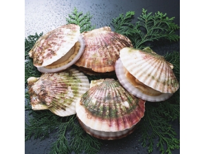 ������ʶ ������Ҫ������Ͼ��Զ��5��ʳ��