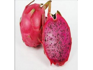 ��Щˮ���п���ƣ�͵�����