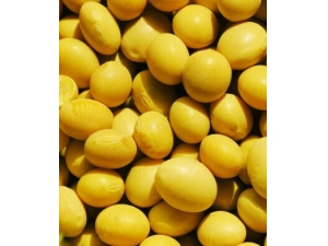 ���Ա��� ���Զ�Զ���Ʒ���˾�