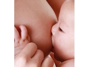 ĸ��ι����Ӫ ĸ��ι���ĺô�