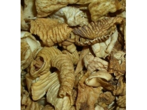 ���ڽ�Ĺ�Ч ���ڽ���������