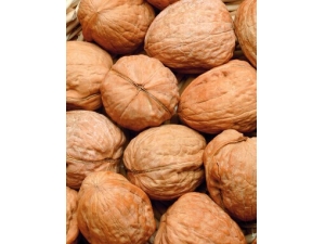 ��ǻ������ô�� ��ǻ�����ʳ���Ʒ�