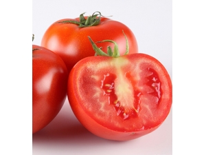 �ļ���ʳ ǧ����ð�������������