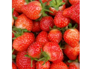 ������׼��� ���׼�������Ȼ����Ʒ