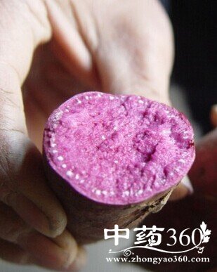 ʲô˥,Ů˳ʲô˥Чã