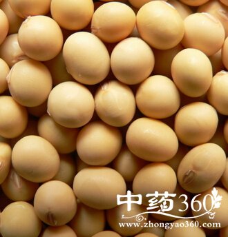 Ů˳ʲô,ŮԳʲôƤã