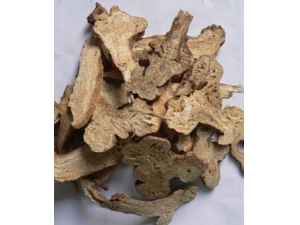 ���ƫ�� �����ݴ׿��������