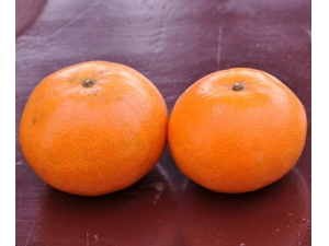 ��֢��ʳ ��֢���ߵ�ˮ����ɱ�֡�