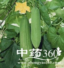 ���ƫ��,�������Ч��6��ƫ��