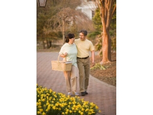 �������� ������������Ӧ����Щ������