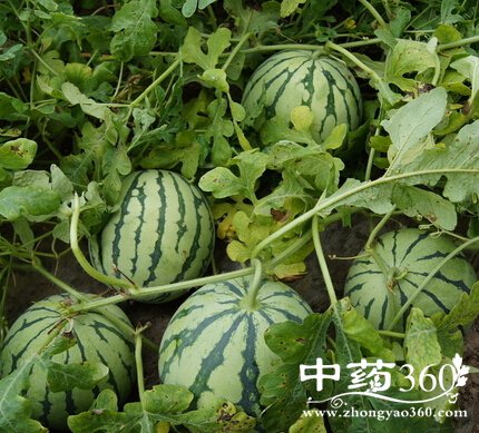 иʲôˮ,Ů˻гʲôˮأ