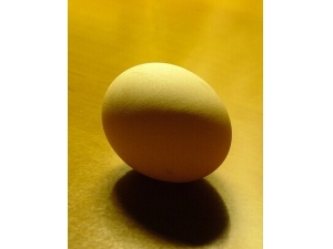 ��к��ʲôʳ�� ���Ƹ�к��ʳ��ƫ��