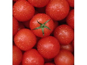 ���������ĺô� ������������������