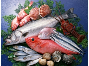 ݡ������ô�� ݡ����߲��ܳ�ʲô��