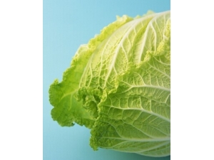 ����Ԥ������� Ԥ������ߵ�ʳ�Ʒ���