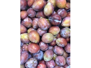 �Ŷ����� Ů���Ŷ��������׵ķ���