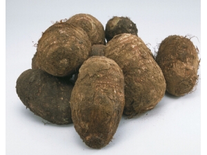 ������ô���� ���۵�ʳ������ʳ����