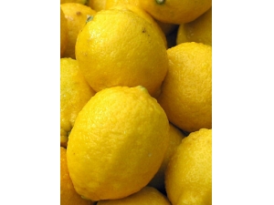 ��ʲôˮ���������� 5�����׷�ɹˮ���Ƽ�