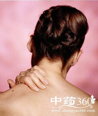 ��׵����,��׵����ȫ����