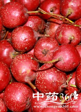 口臭怎么办,中医推荐去除口臭的8个方法