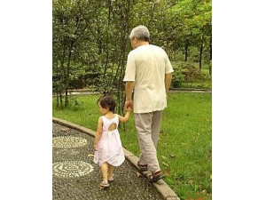 ������ѵ�� ������˥�˵�ԭ��ѵ��